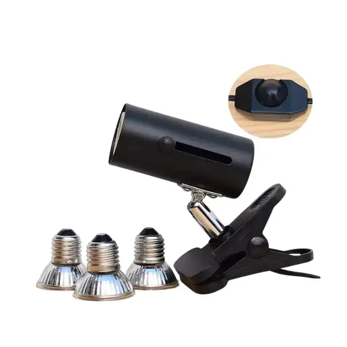 Ordinary switch Full Spectrum-1