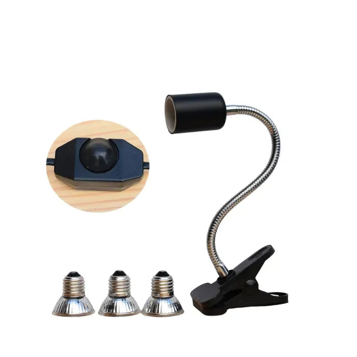 Ordinary switch Full Spectrum-2