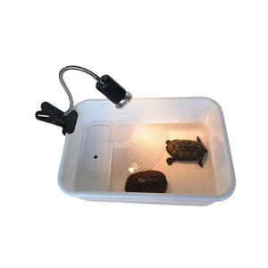 Ordinary switch Full Spectrum-3