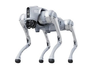 New Creature of Embodied AI Unitree Go2 Air